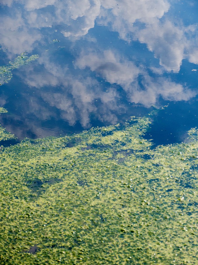 Cloud Water Landscap reflections v1_1350019