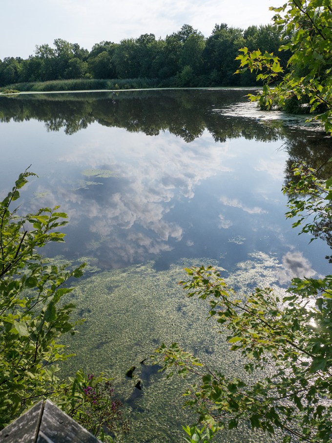 water reflections _1350027