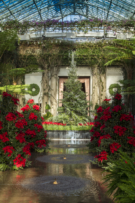 conserv lg v1_43G7866