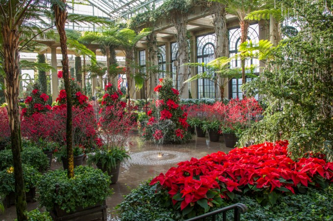 Conservatory xmas LG 2015_43G7834