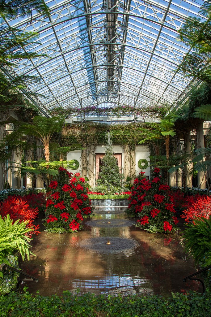 LG conserv v1 2015_43G7870