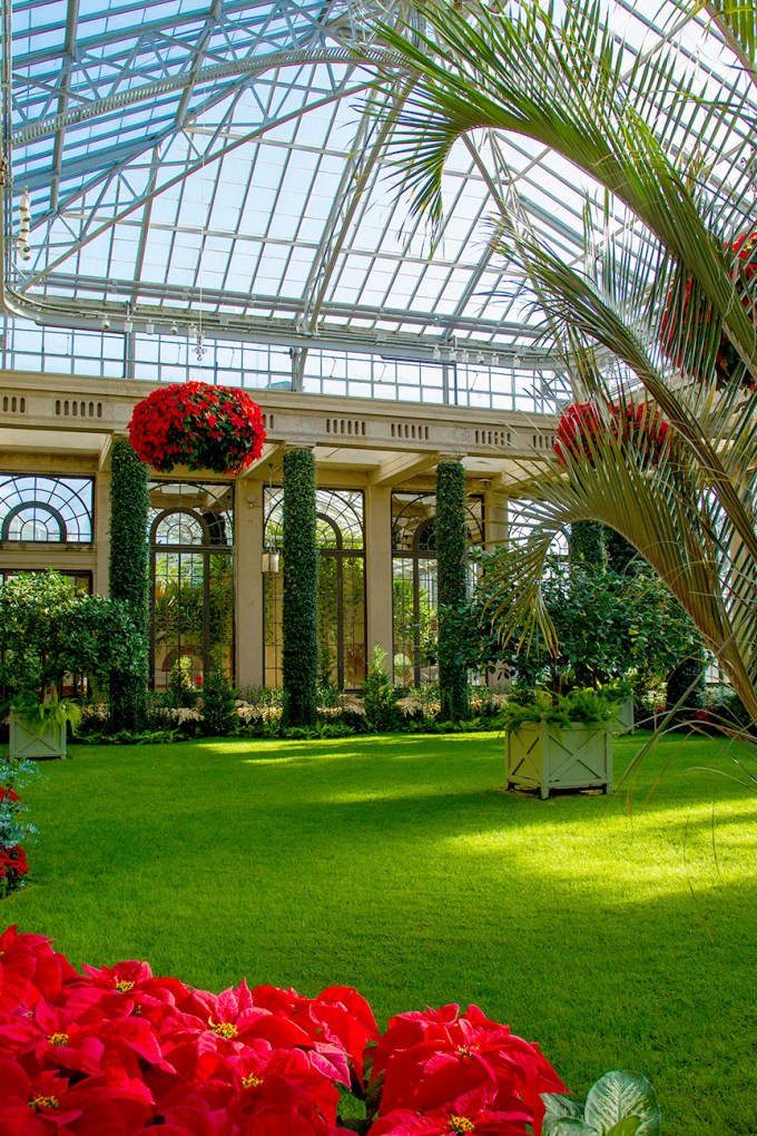 LG Conservatory_43G8002