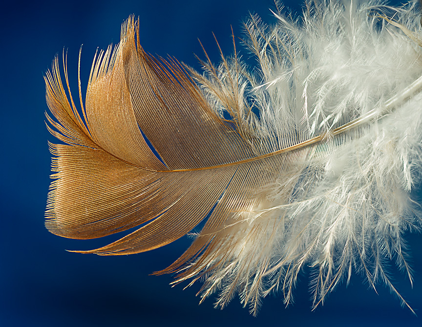 feather stack eight v2