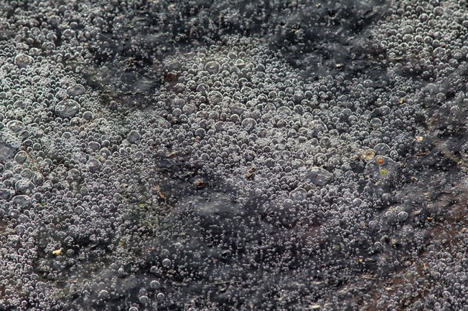 cf ice bubbles_43G4380