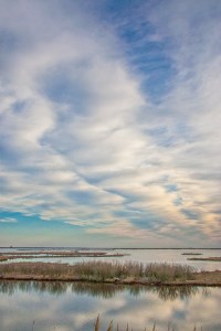 _80I4341 brig am lnscp v2