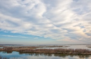 brig early morning lndscpe_80I4338