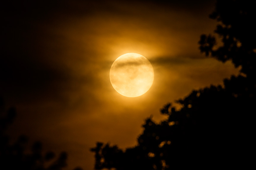 Strawberry moon v1 6 2016_43G1216