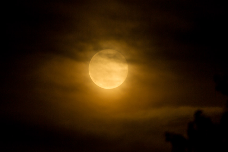 Strawberry moon v1 6 2016_43G1230