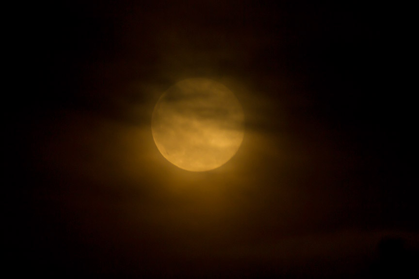 Strawberry moon v1 6 2016_43G1249