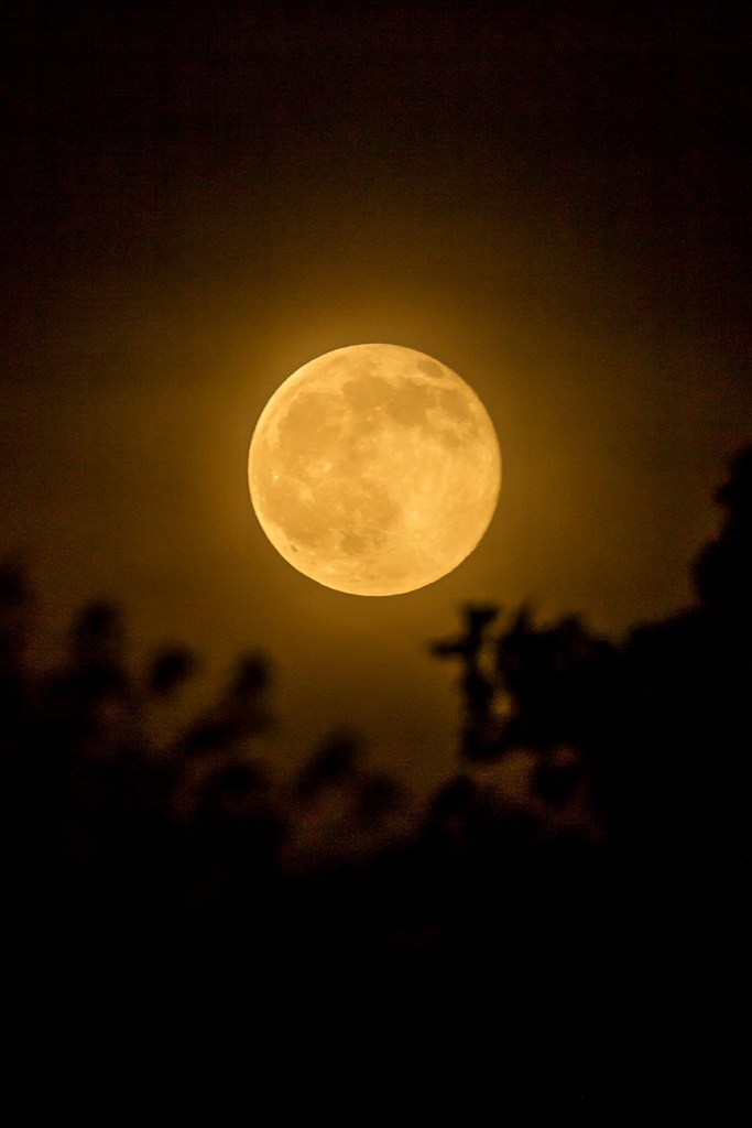 Strawberry moon v2 6 2016_43G1134