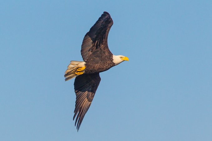 be-v1-bwr-2016_43g7300