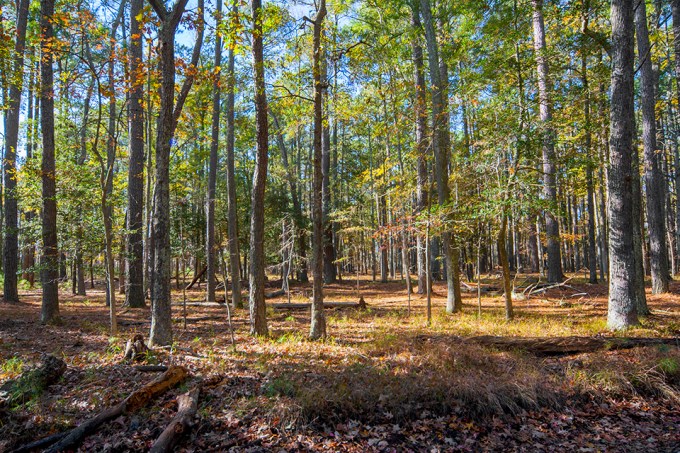 bwr-lndscp-v2-2916_mal9248