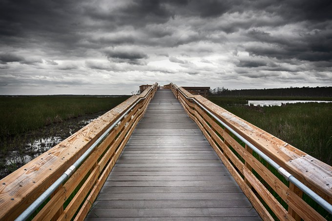 blackwater-observation-platform-24mm_bw-blnd-80i9561