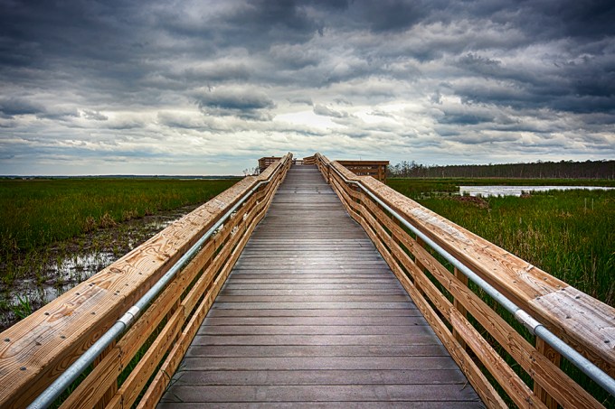 blackwater-observation-platform-24mm_bw-boost-80i9561