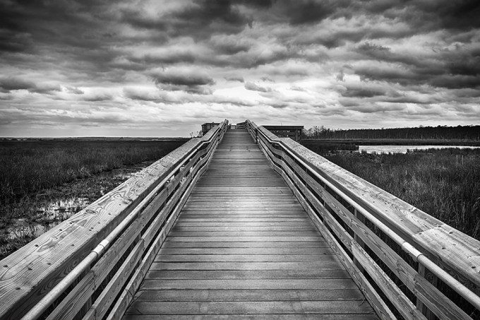 blackwater-observation-platform-24mm_bw-hcon-80i9561