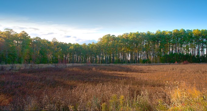 bwr-early-morndrive_hdr-v1