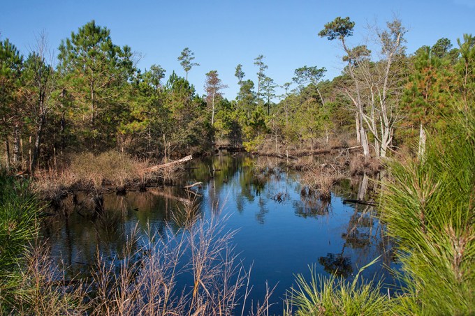 bwr-tt-lndscp-v1_mal8802