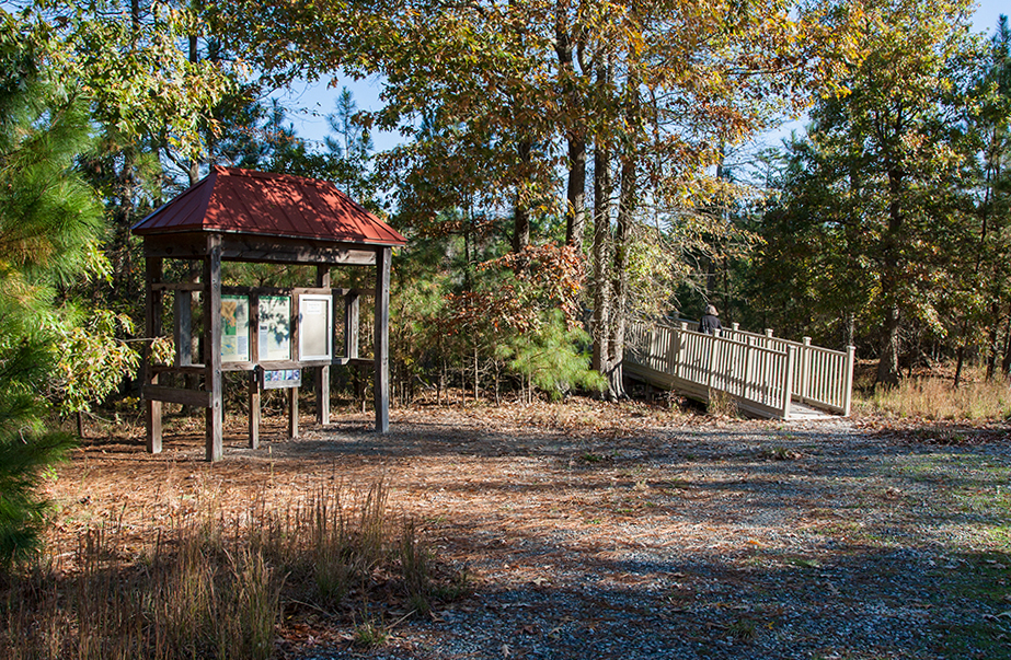 bwr-tt-visitor-info-and-lookout-v2_mal8882