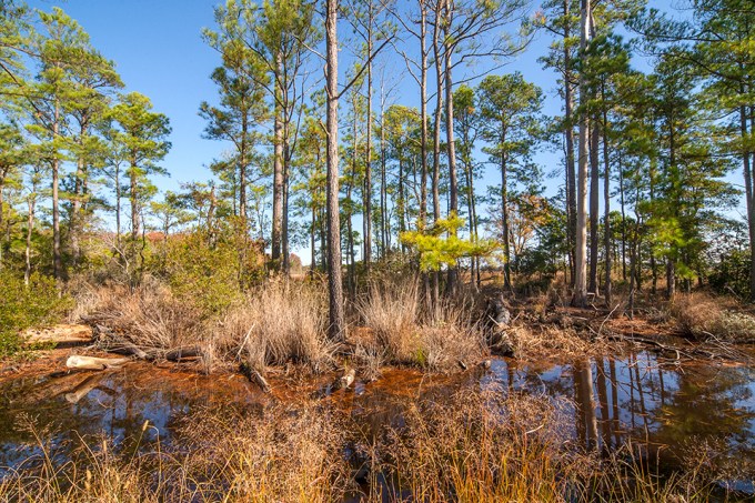 bwr-wd-v2-11-16_mal9076