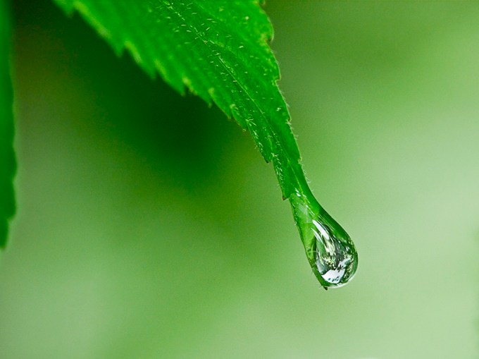 raindrop-v1_1080512
