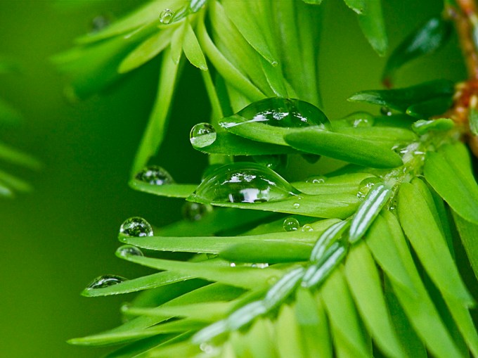 raindrops-v1_1080610