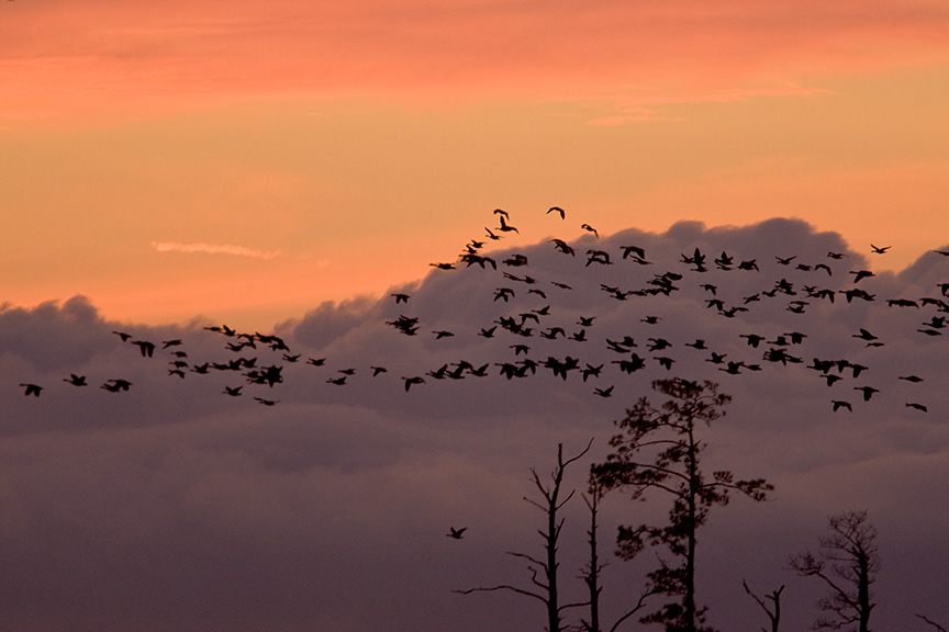 sunset-bwr-flyout-v1_80i7796