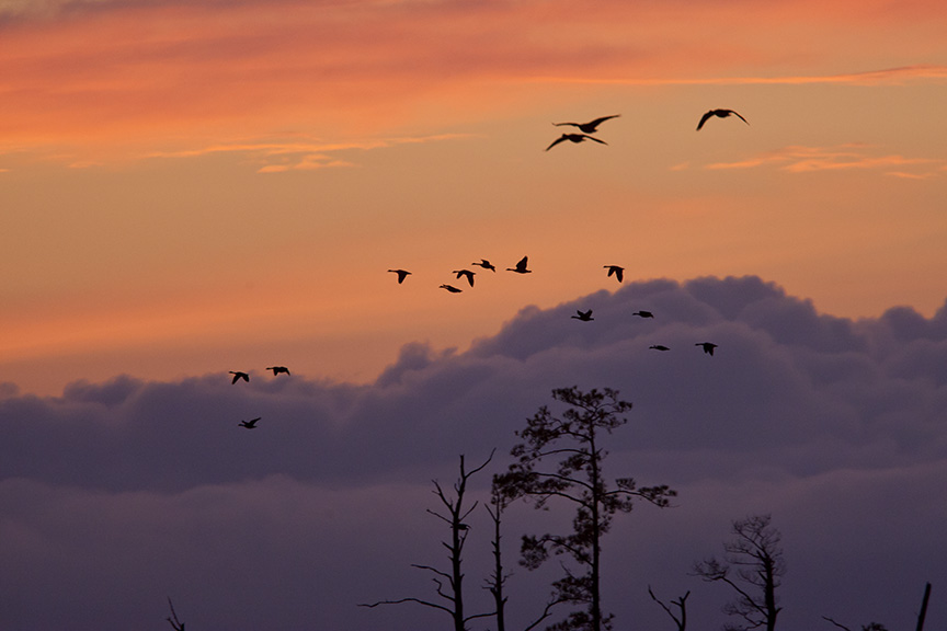 sunset-flyout-v1-bwr-_80i7739