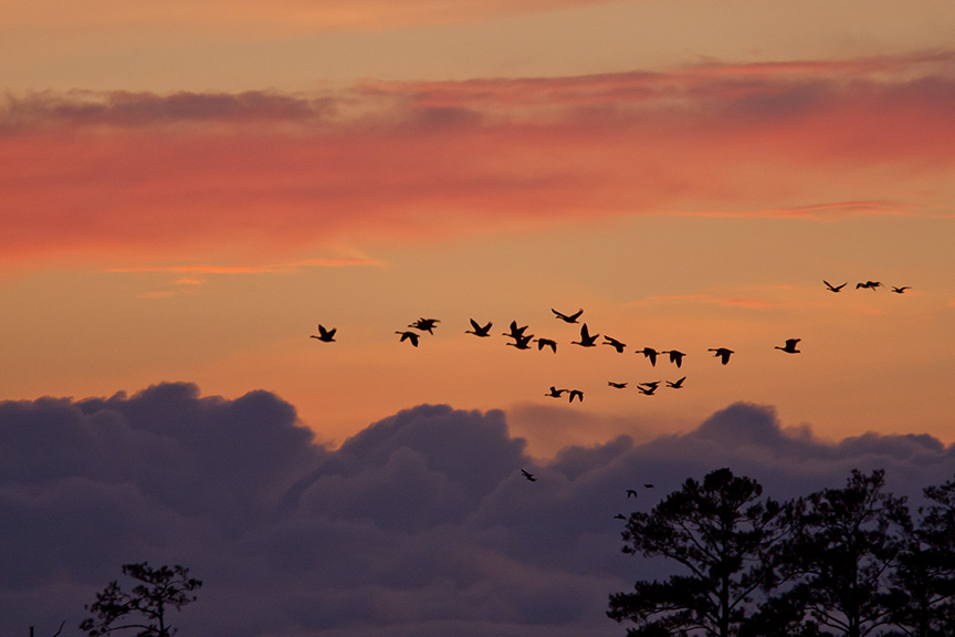 sunset-flyout-v1-bwr_80i7817
