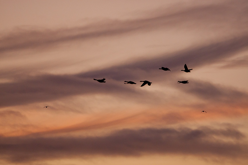 sunset-flyout-v1-bwr_80i7842