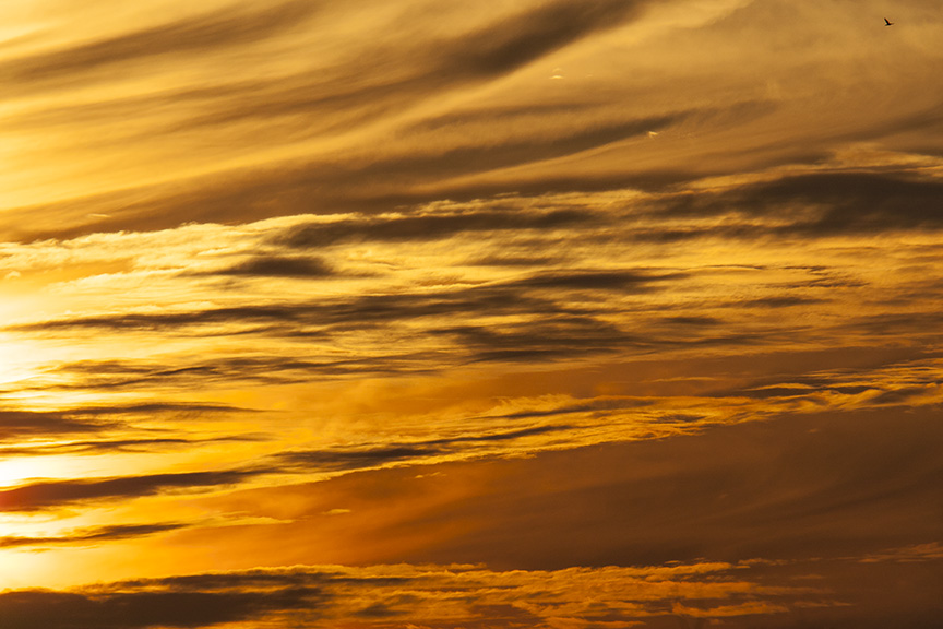 sunset-v1-bwr_80i7576