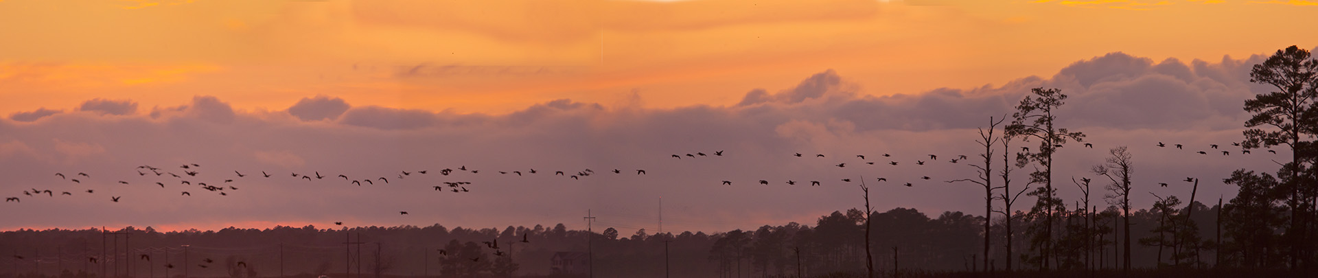 sunset-v3-bwr_80i757a6