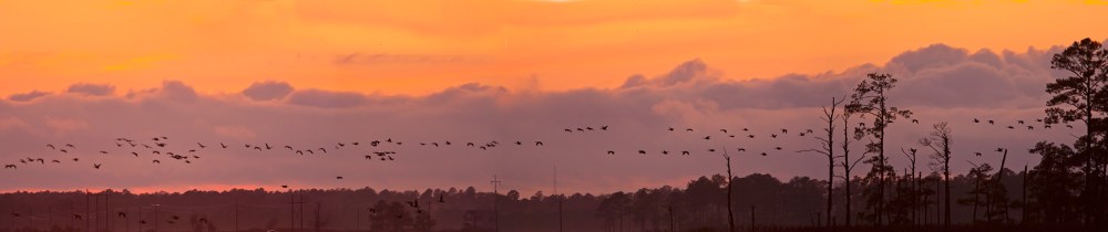 sunset-v3-bwr_80i757a6