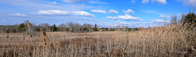 brig-landspe-winter-pano-v1-p1060237