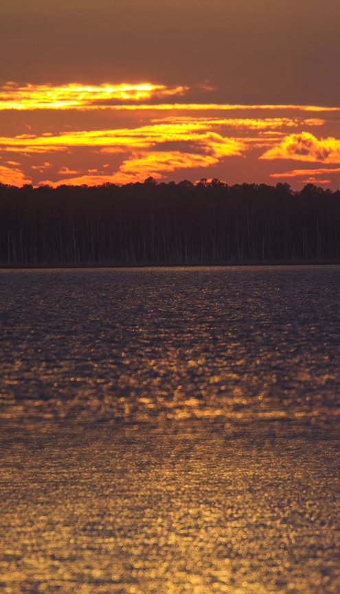 bwr-2-sht-sunset-400mm-v1