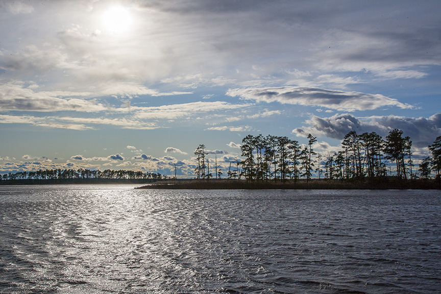 bwr-late-afternoon-zj0v8508