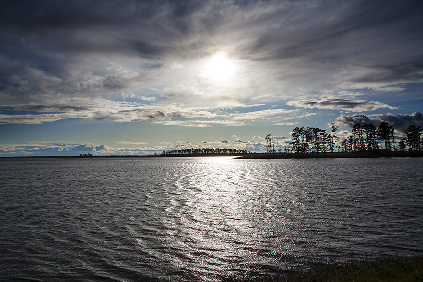 bwr-lt-afternoon-zj0v8498