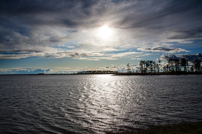 bwr-lt-afternoon-zj0v8498