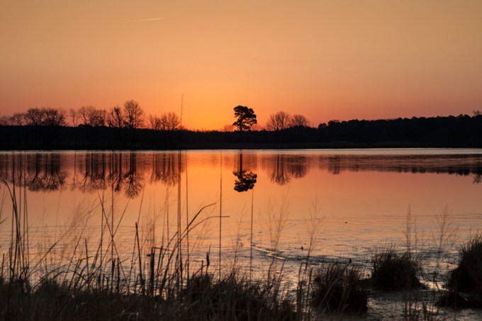 sunrise-bwr-v1-75mm_80i5974