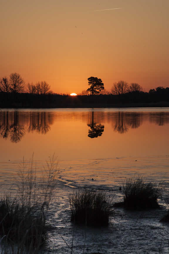 sunrise-bwr-v1_80i5993