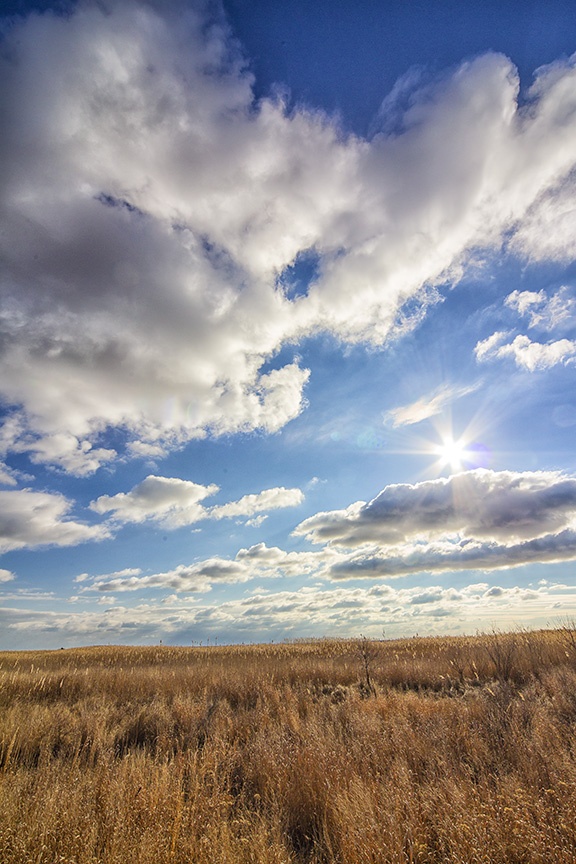 brig-landscape-v1_43g1937-copy