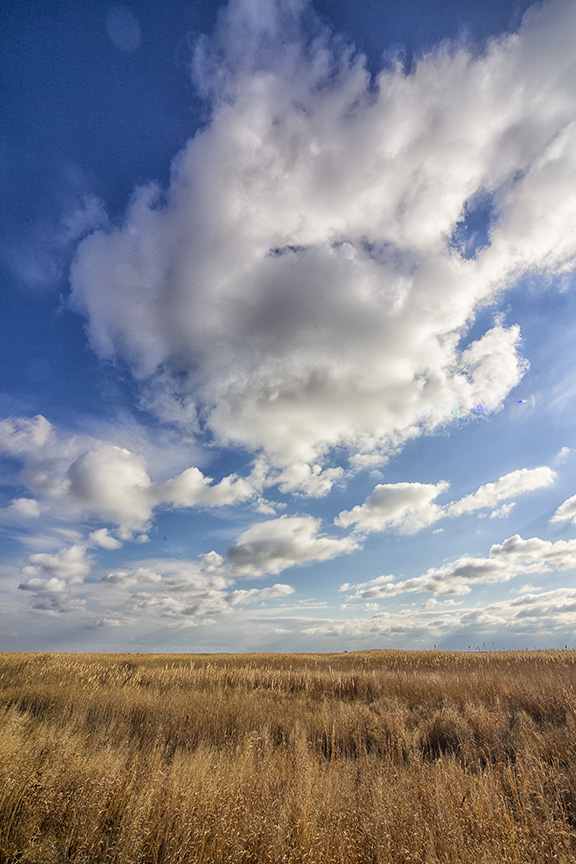 brig-landscape-v2_43g1921