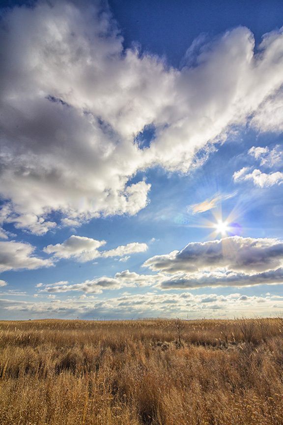 brig-landscape-v3_43g1937-2