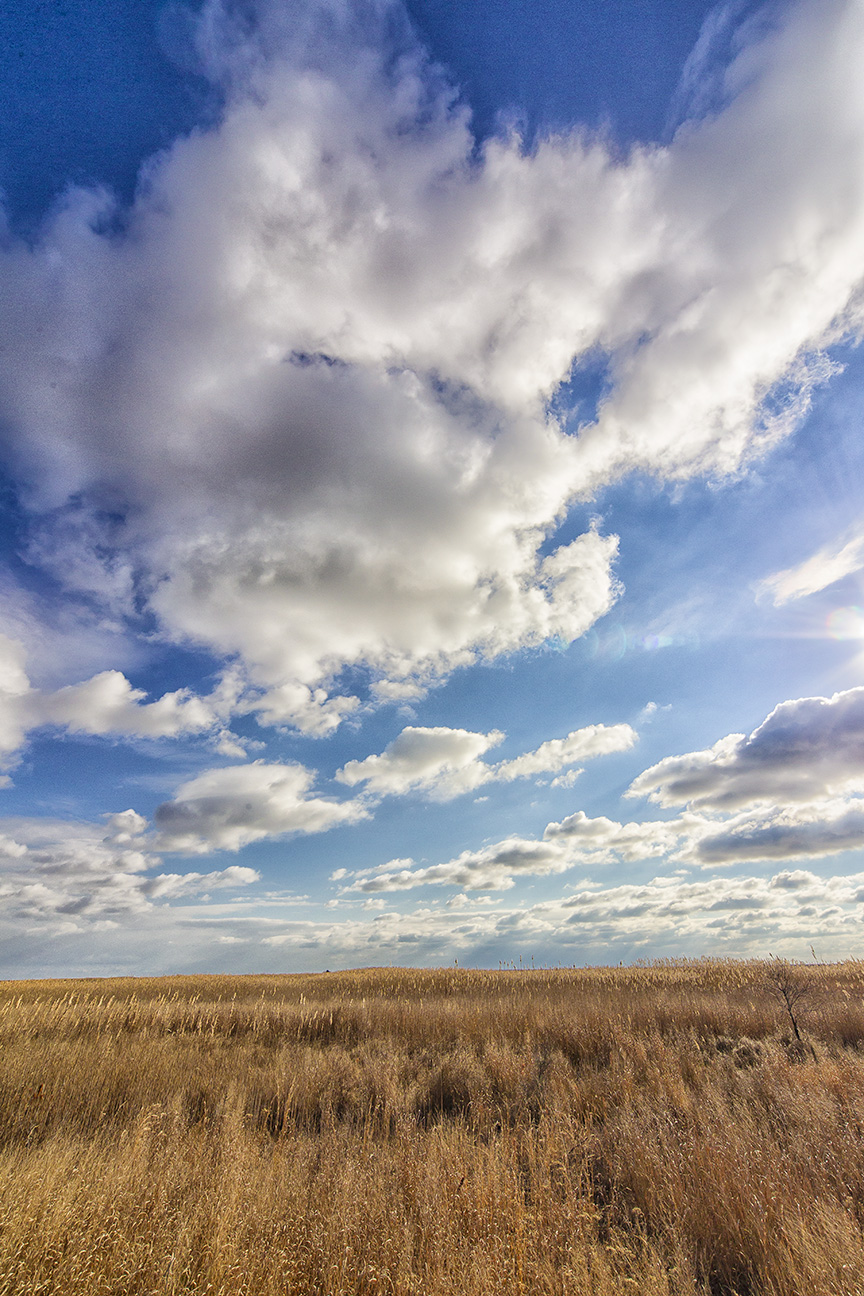 brig-landscp-v2-12mm_43g1928