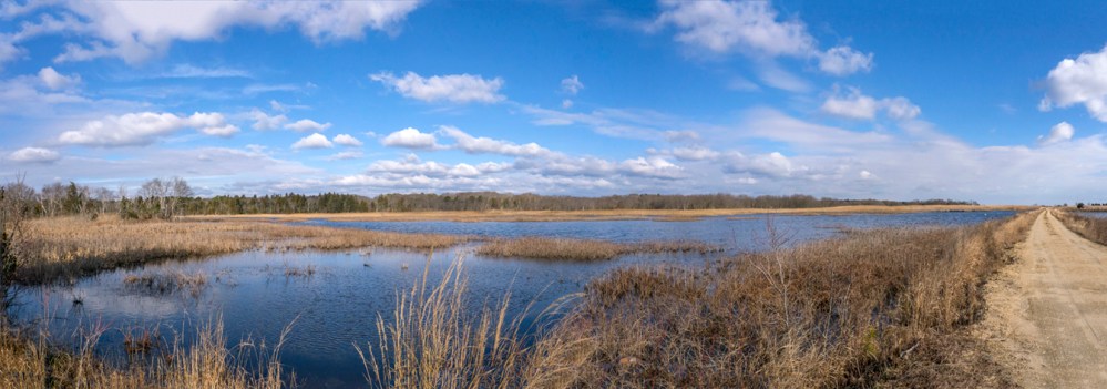 brig-lndscp-4-shot-wntr-14mm-m43