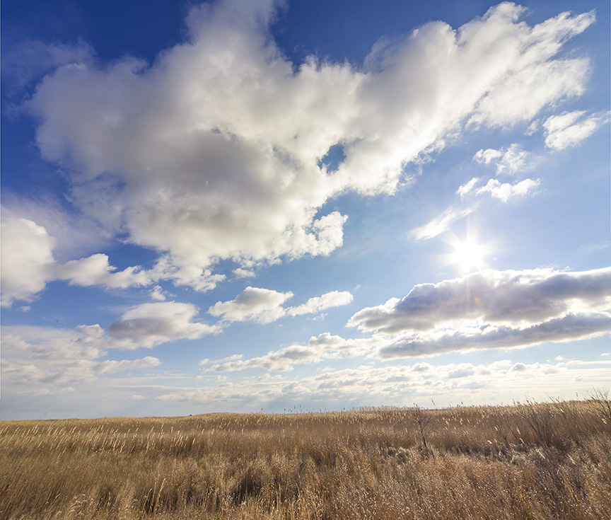 brig-skyscape-v1_pano-12mm-43g19448