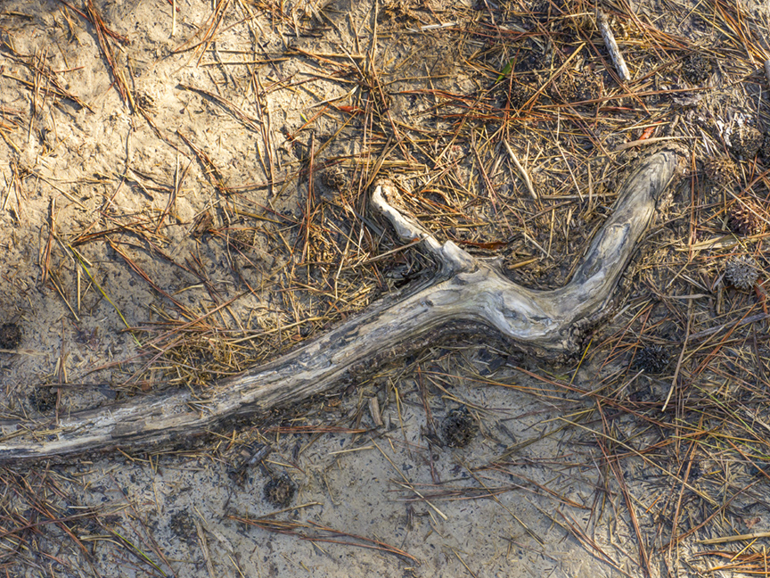 BWR TT Detail v2_1380860