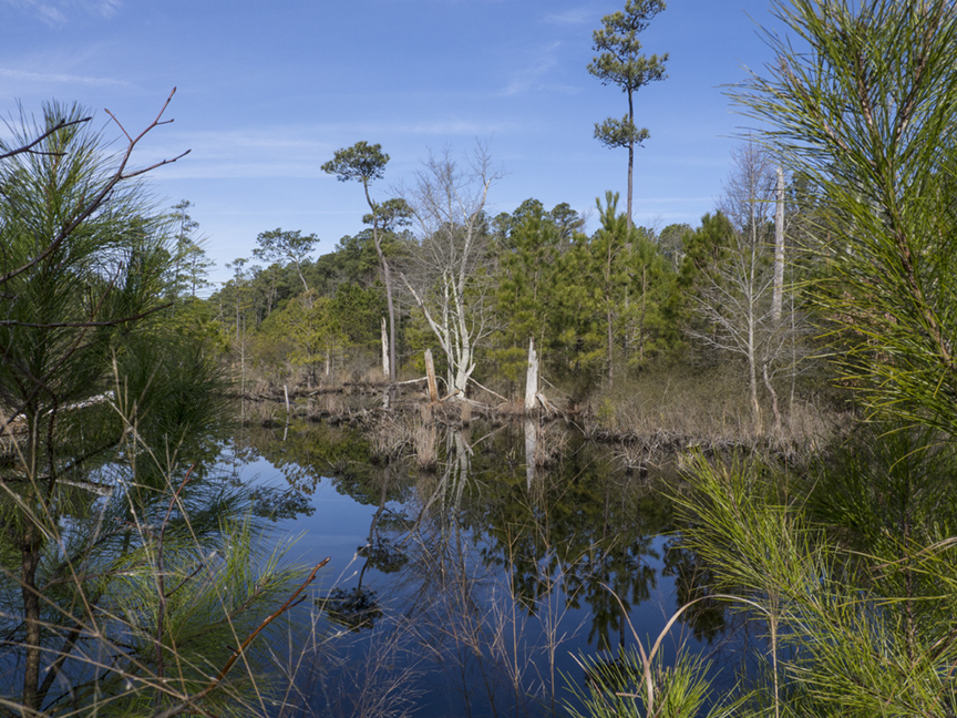 BWR TT lndcsp v1_1380911