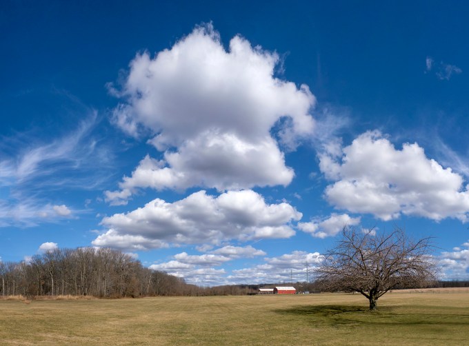 Lonely Tree Pano v11 14mm m43 5img 3 17