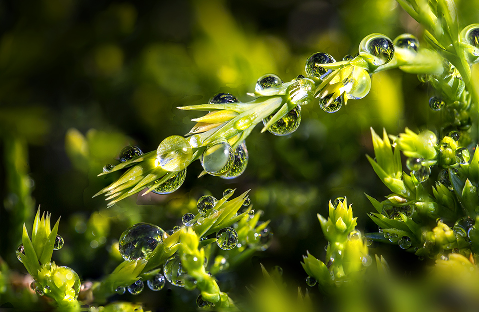 Rain dropstack 3_10img