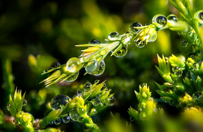 Rain dropstack 3_10img